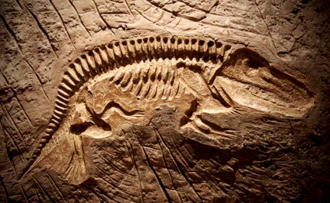 triassic picture