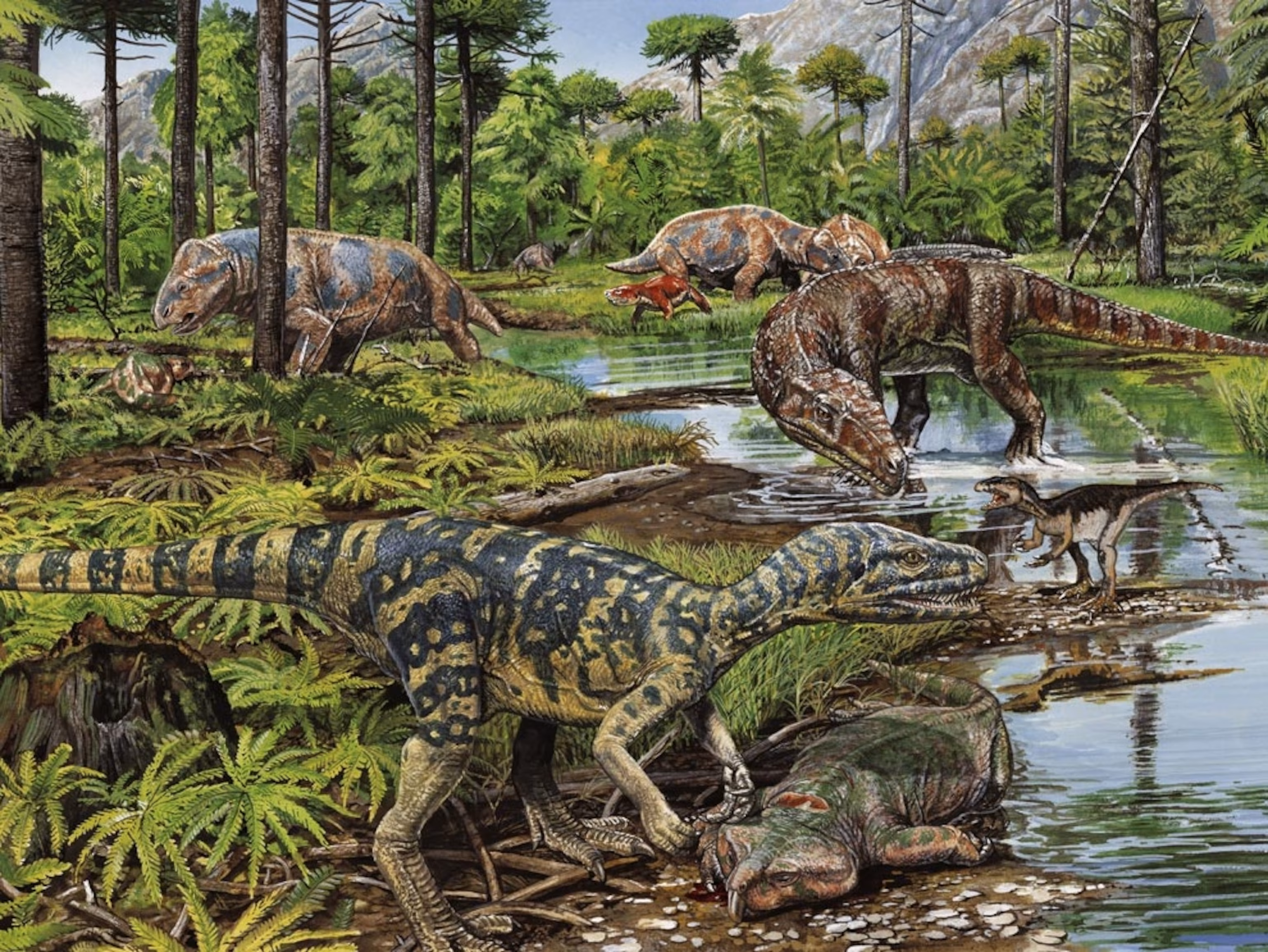 triassic picture